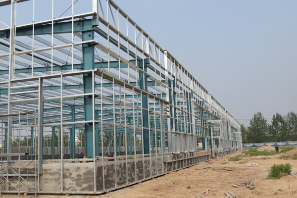 1505807139702274.jpg IMG_5542.JPG